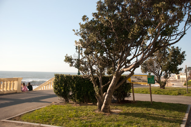 Gondarém Beach - Beaches