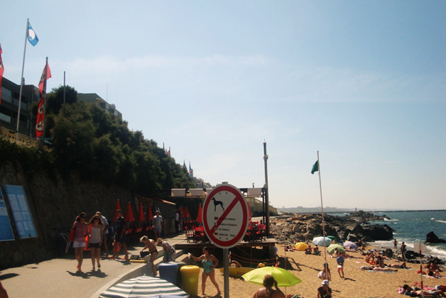 Gondarém Beach - Beaches