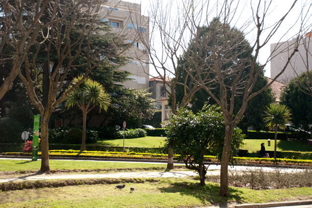 Praça da Rainha D. Amélia Garden