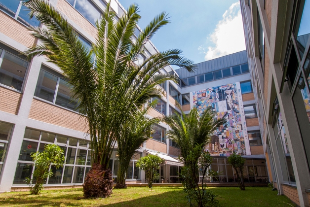 Universidade Fernando Pessoa - Education