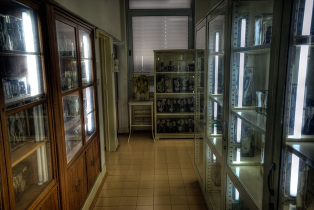 Museu de Anatomia da Faculdade de Medicina da Universidade do Porto - Museus e Centros Temáticos