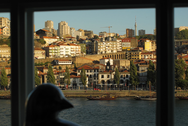 Guest House Douro - Guest houses