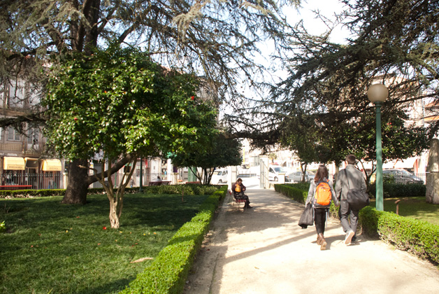 Jardim Marques de Oliveira  - Parques e Jardins