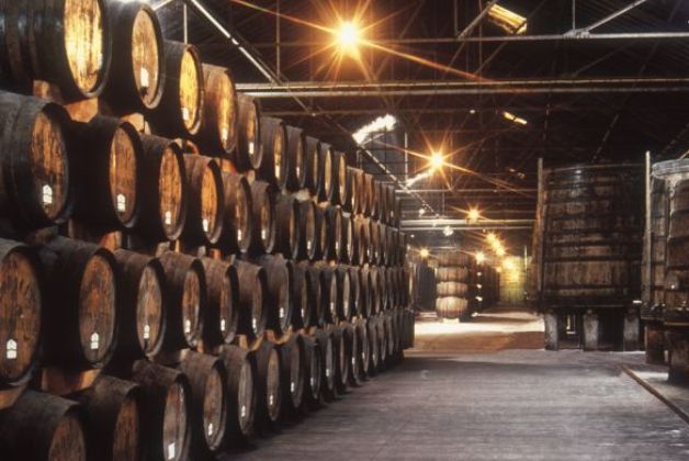 Real Companhia Velha Cellars - Wine Cellars & Quintas